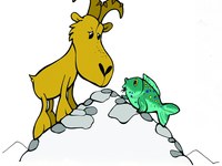 Tiere