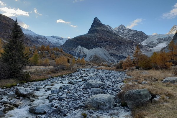 Deregulierungsvorhaben im Alpenraum: Das Schweizer Parlament muss auf die Bremse treten Deregulierungsvorhaben im Alpenraum: Das Schweizer Parlament muss auf die Bremse treten