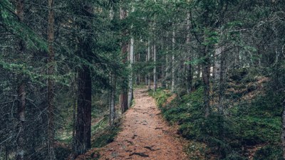 Gemeinsam für eine schonende Erholungsnutzung des Waldes