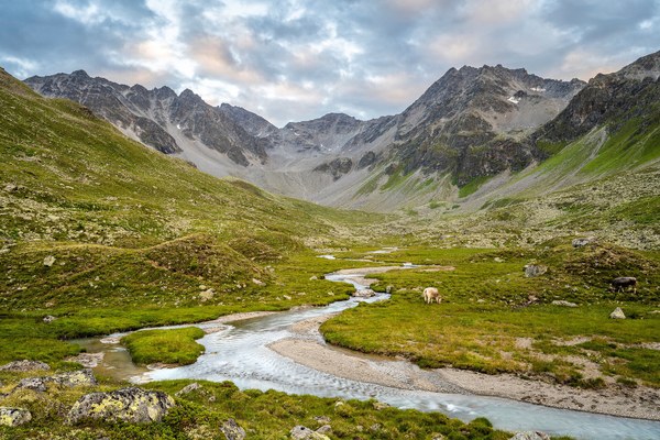 Stopp für zerstörerisches Wasserkraftprojekt in Österreich gefordert Stopp für zerstörerisches Wasserkraftprojekt in Österreich gefordert