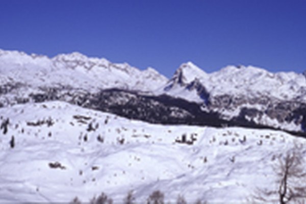 Appell der NGOs für den Triglav-Nationalpark Appell der NGOs für den Triglav-Nationalpark