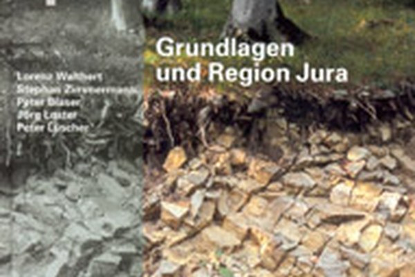 Neuerscheinung "Waldböden der Schweiz" Neuerscheinung "Waldböden der Schweiz"