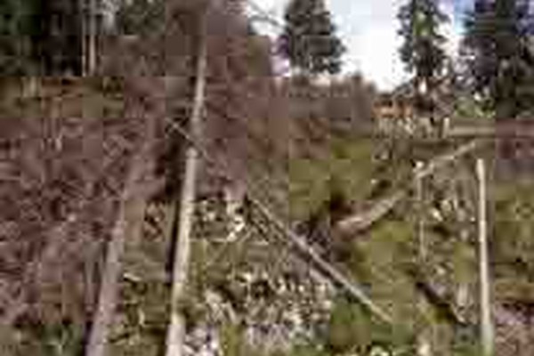 Gewarnt vor Sturm, Waldbrand und Lawinen Gewarnt vor Sturm, Waldbrand und Lawinen