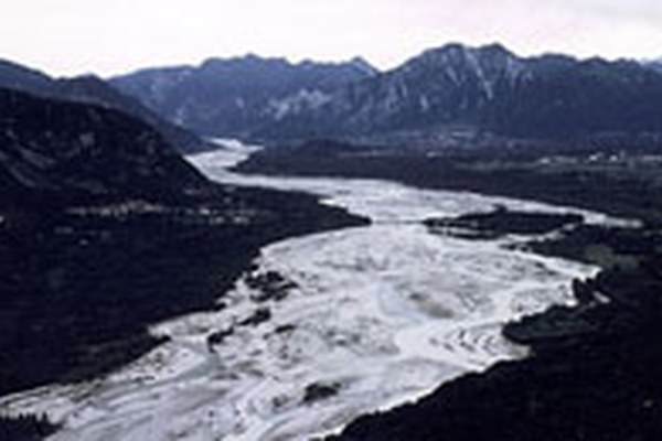 WissenschaftlerInnen setzen sich für den Tagliamento ein WissenschaftlerInnen setzen sich für den Tagliamento ein