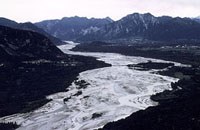 WissenschaftlerInnen setzen sich für den Tagliamento ein