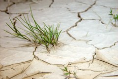 Wasserknappheit hat weit reichende Konsequenzen Wasserknappheit hat weit reichende Konsequenzen