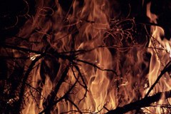 Hunderte Hektar Wald in Italien in Flammen Hunderte Hektar Wald in Italien in Flammen