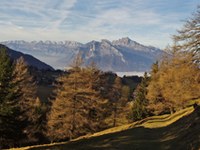 Europäische Tage des Bergwalds