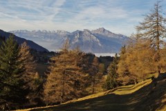 Europäische Tage des Bergwalds Europäische Tage des Bergwalds