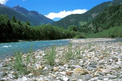 Naturschutz-Lücken in Österreich Naturschutz-Lücken in Österreich