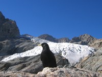 Alpenwoche 2008 - Neues denken [in den Alpen]