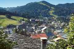 Die Alpen als Lebensraum oder als Objekt der Begierde? Die Alpen als Lebensraum oder als Objekt der Begierde?