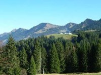 Grenzüberschreitendes Gipfeltreffen der Grünen
