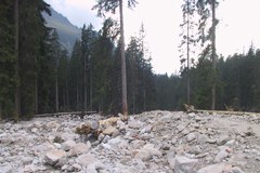 Klimaziele: klarer Appell aus der Wissenschaft Klimaziele: klarer Appell aus der Wissenschaft