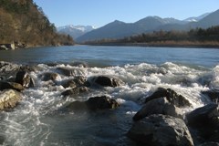 Mehr Leben für den Alpenrhein Mehr Leben für den Alpenrhein