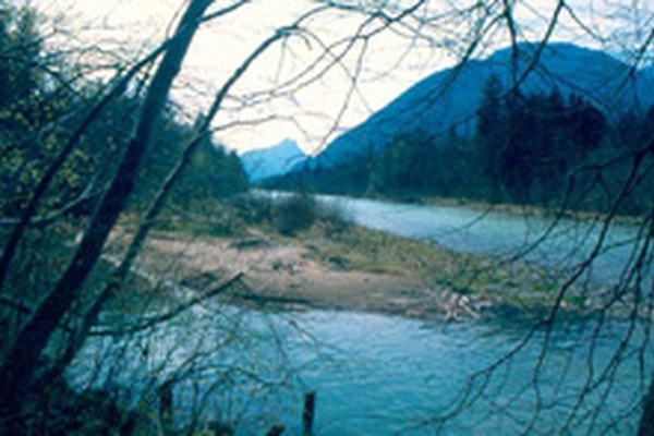 Bad Reichenhall: "Naturerlebnis Marzoller Au" Bad Reichenhall: "Naturerlebnis Marzoller Au"