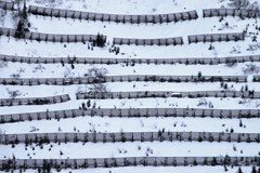 Ökonomische Bewertung von Schutzmassnahmen gegen Naturgefahren Ökonomische Bewertung von Schutzmassnahmen gegen Naturgefahren