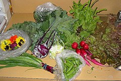 Bioprodukte: grosse Nachfrage - ungenügendes regionales Angebot Bioprodukte: grosse Nachfrage - ungenügendes regionales Angebot