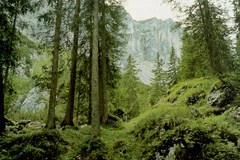 Forschen für das Klima Forschen für das Klima