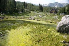 Verschmutzter Bergsee im Tal der Triglav-Seen Verschmutzter Bergsee im Tal der Triglav-Seen