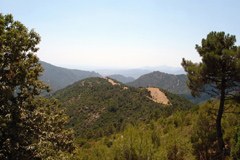 Neuregelung der öffentlichen Körperschaften in Italien birgt Risiko für Nationalparks Neuregelung der öffentlichen Körperschaften in Italien birgt Risiko für Nationalparks