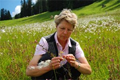 Mehr als 500 Landwirte und Landwirtinnen beobachten Pflanzen Mehr als 500 Landwirte und Landwirtinnen beobachten Pflanzen