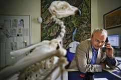 Vernetzt! Ökologisches Kontinuum und Econnect Vernetzt! Ökologisches Kontinuum und Econnect