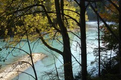 Kraftwerksausbau am Lech auf Kosten des Naturschutz? Kraftwerksausbau am Lech auf Kosten des Naturschutz?