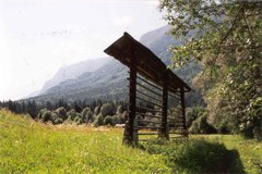 Kranjska Gora/SI: Auf die Plätze. Fertig. Grün. Kranjska Gora/SI: Auf die Plätze. Fertig. Grün.