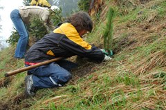 Anpacken für den Bergwald Anpacken für den Bergwald