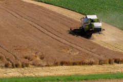 Klimawandel: Herausforderungen für die Landwirtschaft im Alpenraum Klimawandel: Herausforderungen für die Landwirtschaft im Alpenraum
