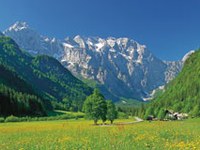 Logartal: Ökonomischer Naturschutz?