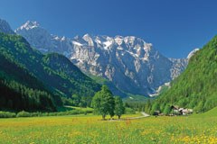 Logartal: Ökonomischer Naturschutz? Logartal: Ökonomischer Naturschutz?