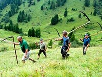Neue Schutzgebiete in den Alpen