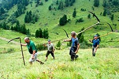 Neue Schutzgebiete in den Alpen Neue Schutzgebiete in den Alpen