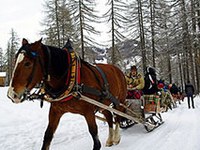 Mit Sonnenenergie und Pferdestärke ins Skigebiet