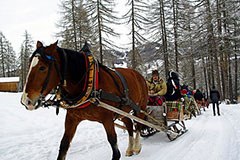 Mit Sonnenenergie und Pferdestärke ins Skigebiet Mit Sonnenenergie und Pferdestärke ins Skigebiet