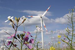 Projekt recharge.green gestartet: Energie und Natur verbinden Projekt recharge.green gestartet: Energie und Natur verbinden