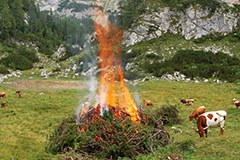 Werbung, Axt und Schafe für Almschutz Werbung, Axt und Schafe für Almschutz