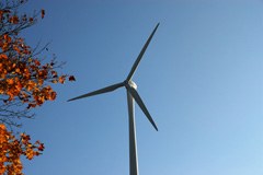 Energiewende mit Naturschutz versöhnen Energiewende mit Naturschutz versöhnen