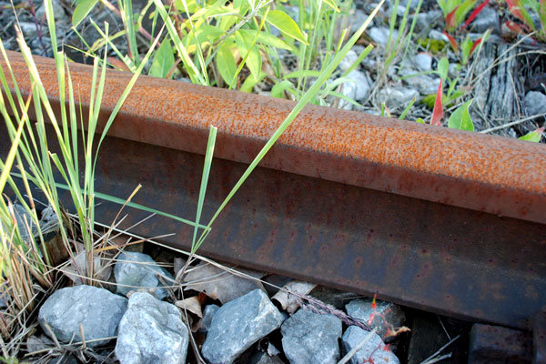 Aktionstage für vergessene Regionalbahnen Aktionstage für vergessene Regionalbahnen