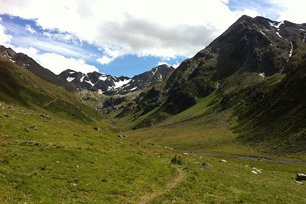 Alpenschneehühner dürfen weiter brüten Alpenschneehühner dürfen weiter brüten
