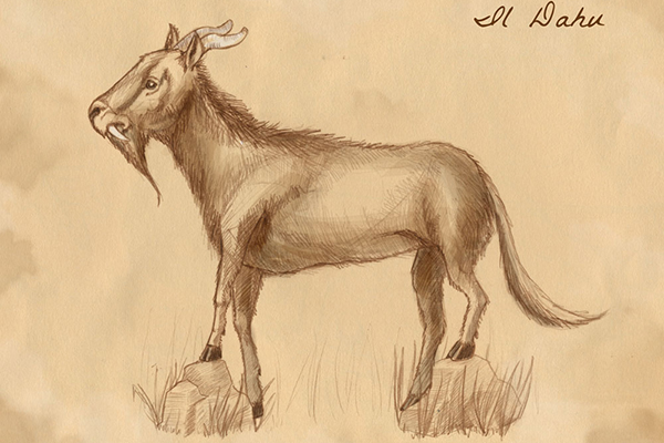 Dahu in Norditalien gesichtet Dahu in Norditalien gesichtet