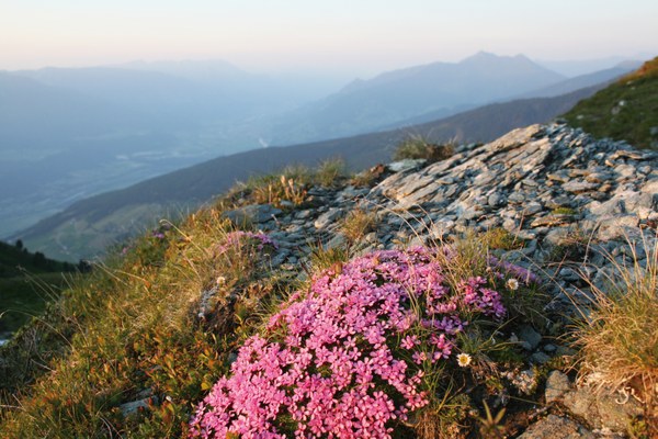 Das Bodenschutzprotokoll der Alpenkonvention – Bedeutung und Anwendung Das Bodenschutzprotokoll der Alpenkonvention – Bedeutung und Anwendung
