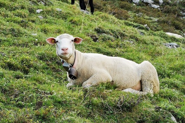 Drei Innovationen aus den Bergen Drei Innovationen aus den Bergen