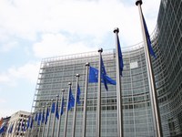 EU hebelt die Naturschutzregularien für Energiewende aus