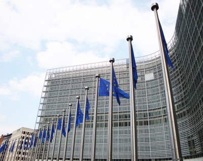 EU hebelt die Naturschutzregularien für Energiewende aus