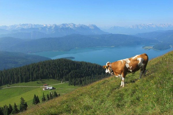 Fataler Paradigmenwechsel in der bayerischen Landesplanung Fataler Paradigmenwechsel in der bayerischen Landesplanung