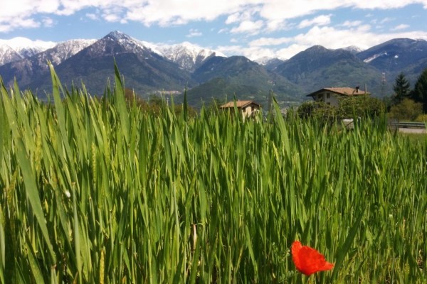 Italienische Alpen zwischen Licht und Schatten Italienische Alpen zwischen Licht und Schatten