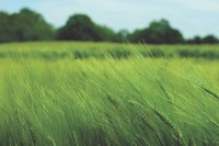 Klimaschutzpreis: Herausragende Klimaschutz-Initiativen gesucht